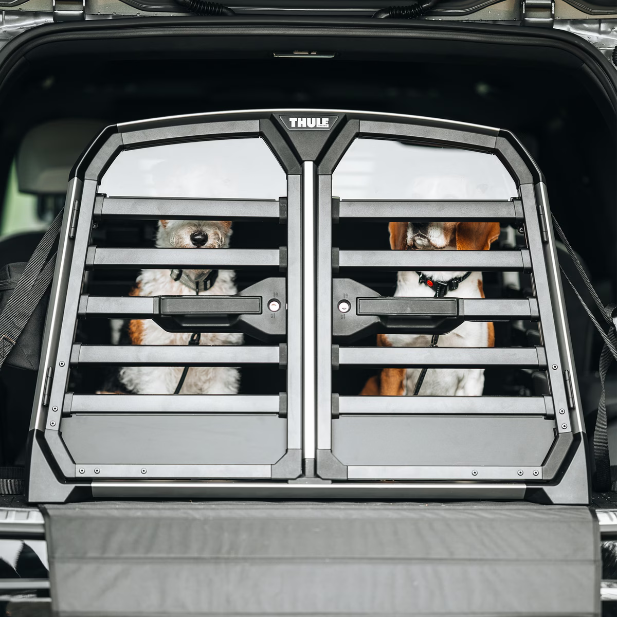 Thule allax double hondenbench