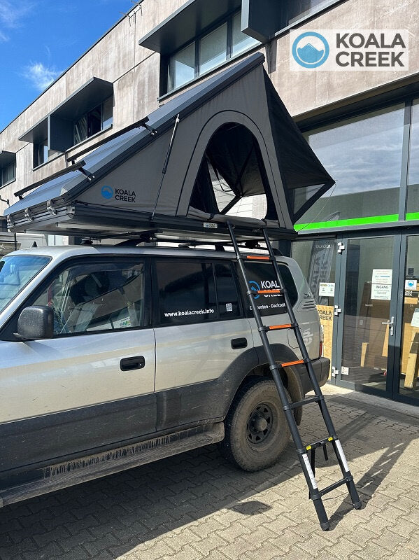 Koala creek outback 140 cm