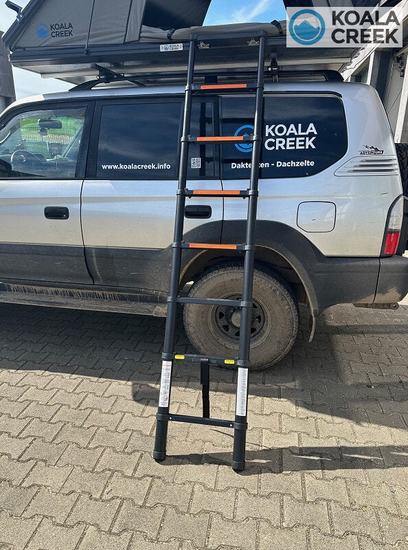Koala creek outback 140 cm