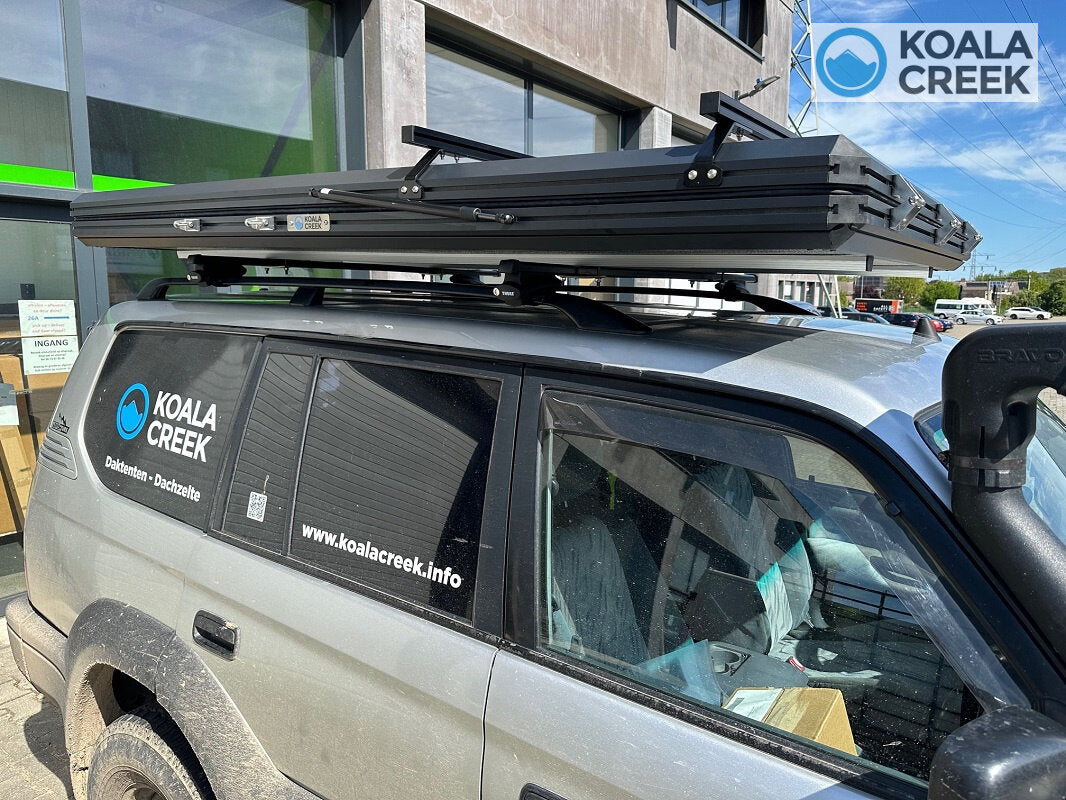 Koala creek outback 140 cm