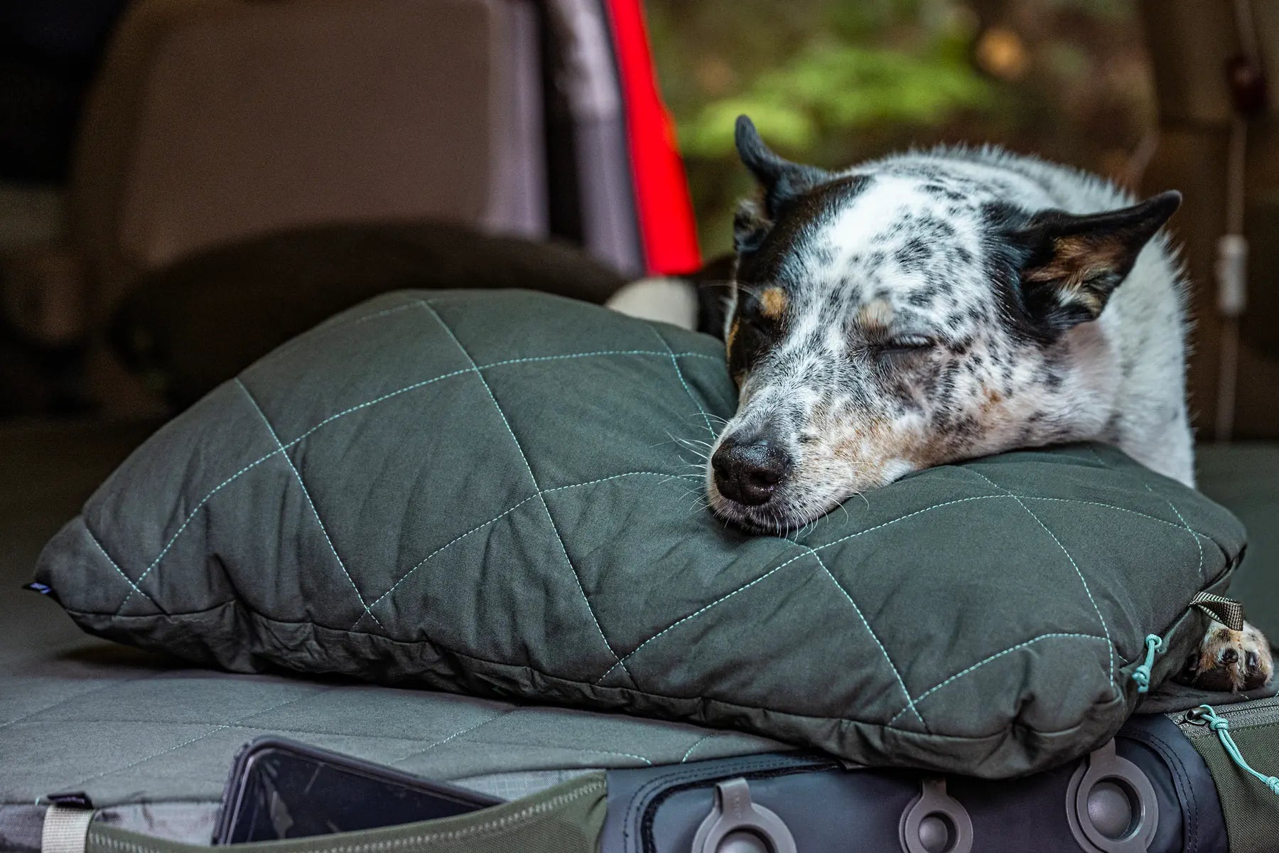 Exped Luxwool kussen