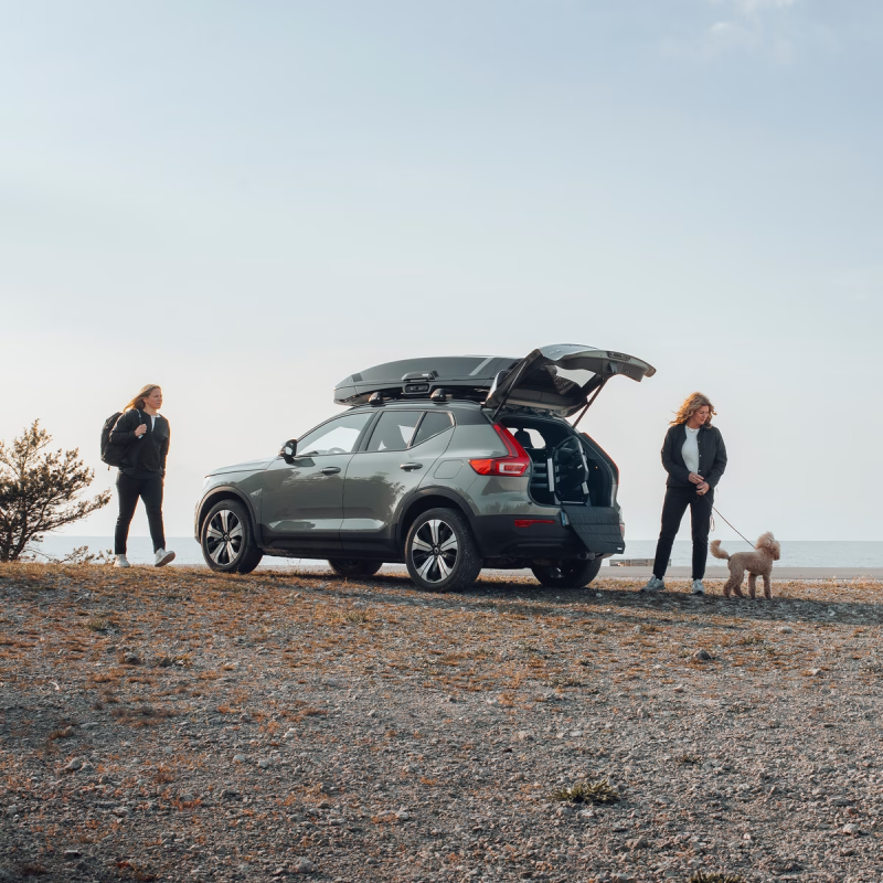 Haak voor hondenaccessoires compatibel met thule allax