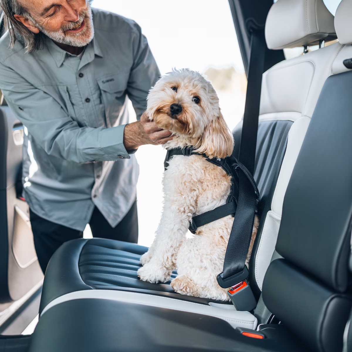 Thule Cappy (hondenharnas)